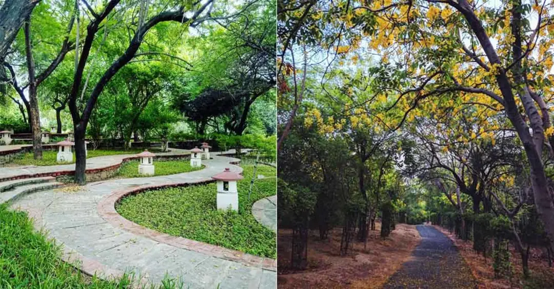 Green Area